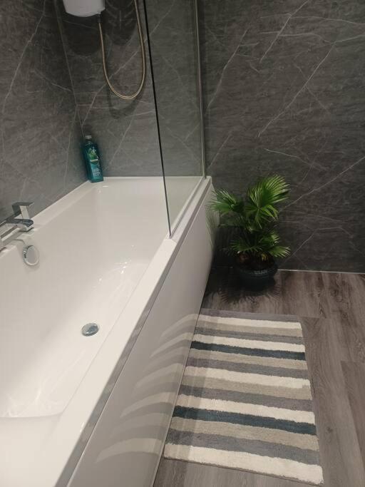 Beautiful Masons Hideaway Studio Apartment Bridgend  Exteriör bild