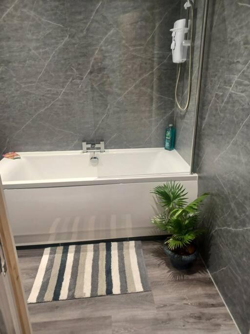 Beautiful Masons Hideaway Studio Apartment Bridgend  Exteriör bild
